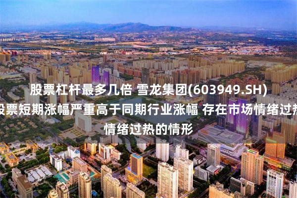 股票杠杆最多几倍 雪龙集团(603949.SH)：公司股票短期涨幅严重高于同期行业涨幅 存在市场情绪过热的情形