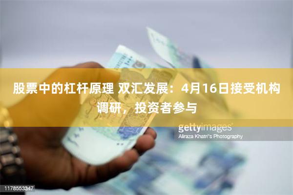 股票中的杠杆原理 双汇发展：4月16日接受机构调研，投资者参与