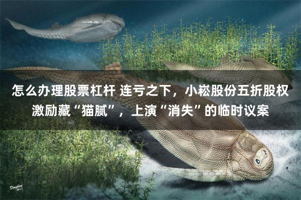 怎么办理股票杠杆 连亏之下，小崧股份五折股权激励藏“猫腻”，上演“消失”的临时议案