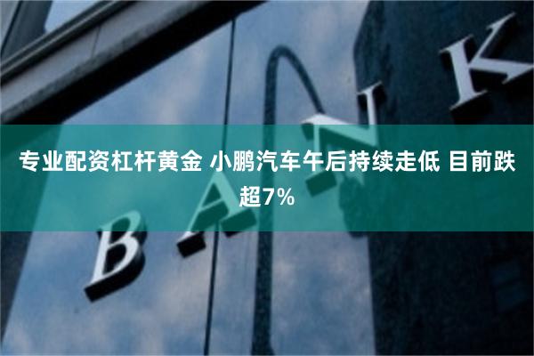 专业配资杠杆黄金 小鹏汽车午后持续走低 目前跌超7%
